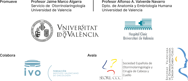 ADAPTACIONES WEB-logos